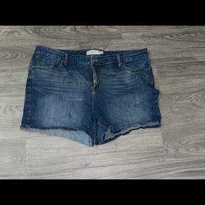 Size 26 Torrid Jean Shorts